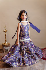 Neelpari Lehenga Neelpari Lehenga