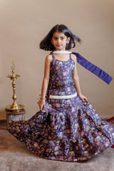 Neelpari Lehenga